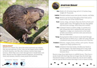 Critters of New York - Image 2