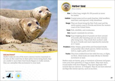 Critters of New York - Image 4