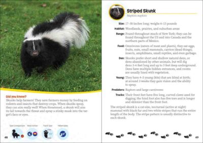 Critters of New York - Image 5
