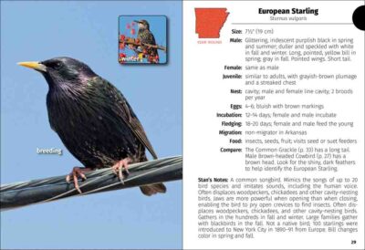 Birds of Arkansas Field Guide - Image 2