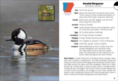 Birds of Arkansas Field Guide - Image 3