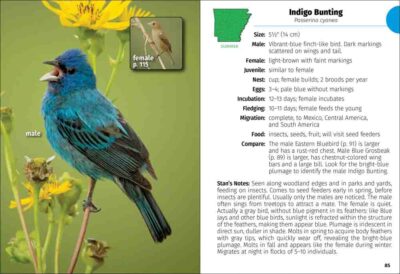 Birds of Arkansas Field Guide - Image 4