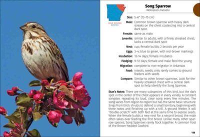 Birds of Arkansas Field Guide - Image 5