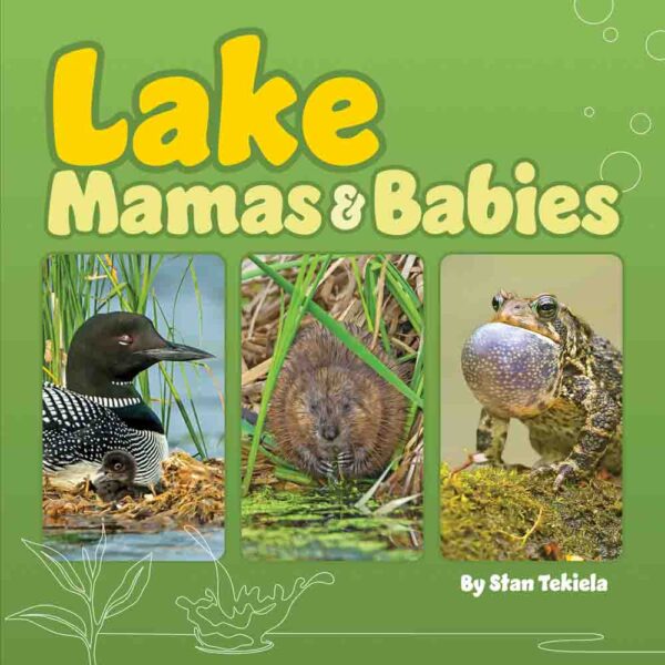 Green book cover with mama and baby animals.