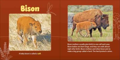 Prairie Mamas & Babies - Image 2