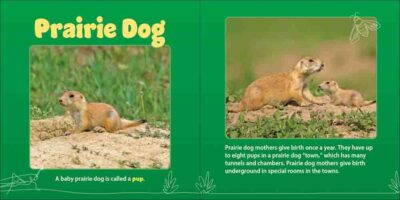 Prairie Mamas & Babies - Image 5