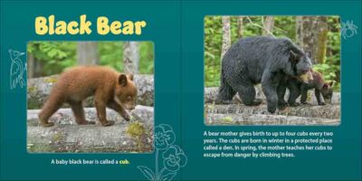 Forest Mamas & Babies - Image 3
