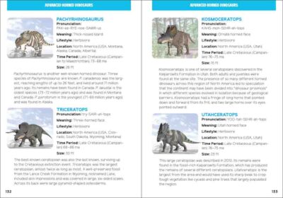 Dinosaurs for Kids - Image 4