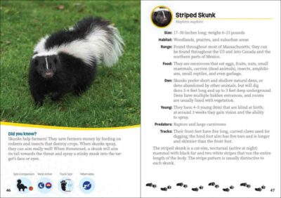 Critters of Massachusetts - Image 5