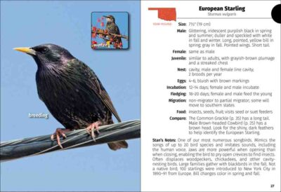 Birds of Oklahoma Field Guide - Image 2
