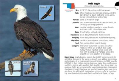 Birds of Oklahoma Field Guide - Image 3
