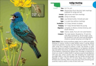 Birds of Oklahoma Field Guide - Image 4