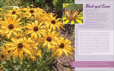 Native Plant Gardening for Birds, Bees & Butterflies: Rocky Mountains - Image 2
