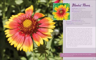 Native Plant Gardening for Birds, Bees & Butterflies: Rocky Mountains - Image 3
