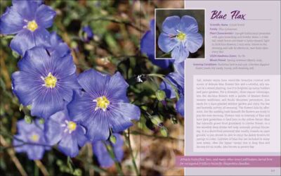 Native Plant Gardening for Birds, Bees & Butterflies: Rocky Mountains - Image 4