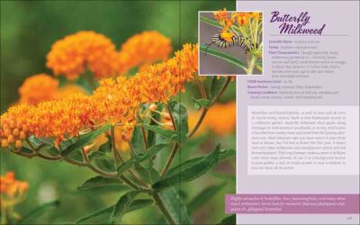 Native Plant Gardening for Birds, Bees & Butterflies: Rocky Mountains - Image 5