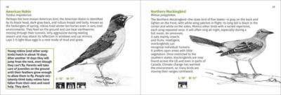 Pacific Coast Bird Finder - Image 2