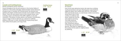 Pacific Coast Bird Finder - Image 3