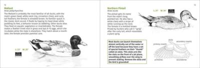 Pacific Coast Bird Finder - Image 4