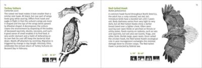 Pacific Coast Bird Finder - Image 5