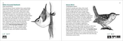 Bird Finder - Image 2