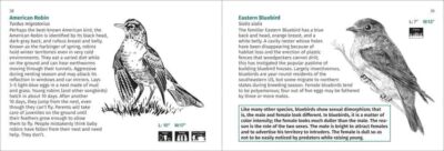 Bird Finder - Image 3