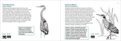 Bird Finder - Image 5