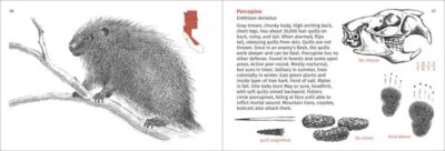 Pacific Coast Mammal Finder - Image 3