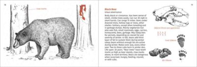 Pacific Coast Mammal Finder - Image 5