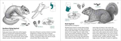 Rocky Mountain Mammal Finder - Image 2