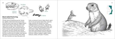 Rocky Mountain Mammal Finder - Image 4