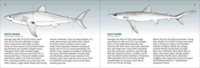 Pacific Coast Fish Finder - Image 2