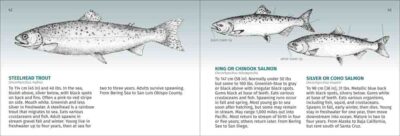 Pacific Coast Fish Finder - Image 3