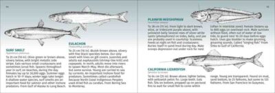 Pacific Coast Fish Finder - Image 4