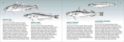 Pacific Coast Fish Finder - Image 5