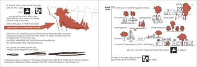 Desert Tree Finder - Image 3