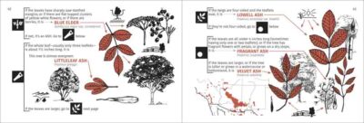 Desert Tree Finder - Image 4