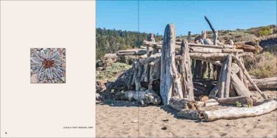 Driftwood Shacks: Anonymous Architecture Along the California Coast  - Image 5