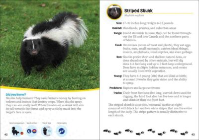 Critters of Iowa - Image 3