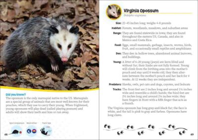 Critters of Iowa - Image 2