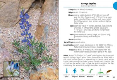 Wildflowers of Arizona Field Guide - Image 2