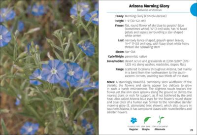 Wildflowers of Arizona Field Guide - Image 3