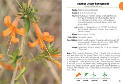Wildflowers of Arizona Field Guide - Image 5