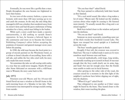 Monsters of the Northeast - Image 3