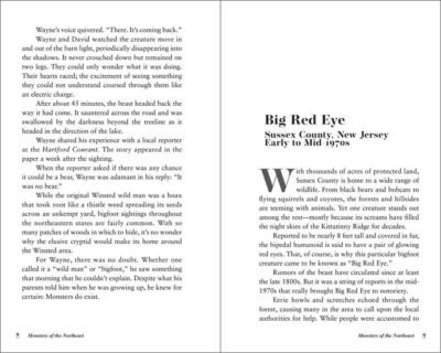 Monsters of the Northeast - Image 4