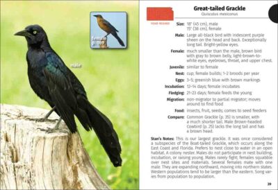 Birds of Kansas Field Guide - Image 2