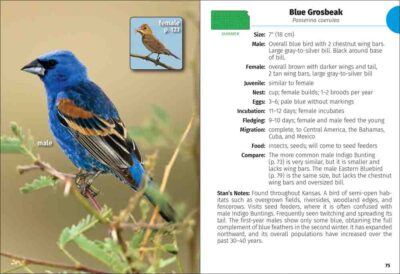 Birds of Kansas Field Guide - Image 4