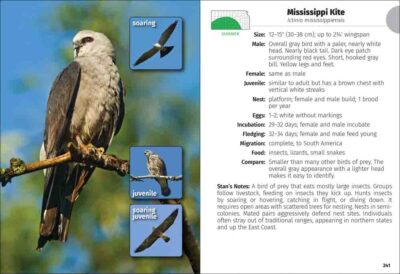Birds of Kansas Field Guide - Image 5