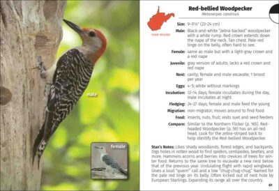 Birds of West Virginia Field Guide - Image 3