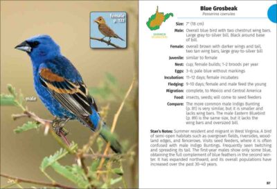 Birds of West Virginia Field Guide - Image 4